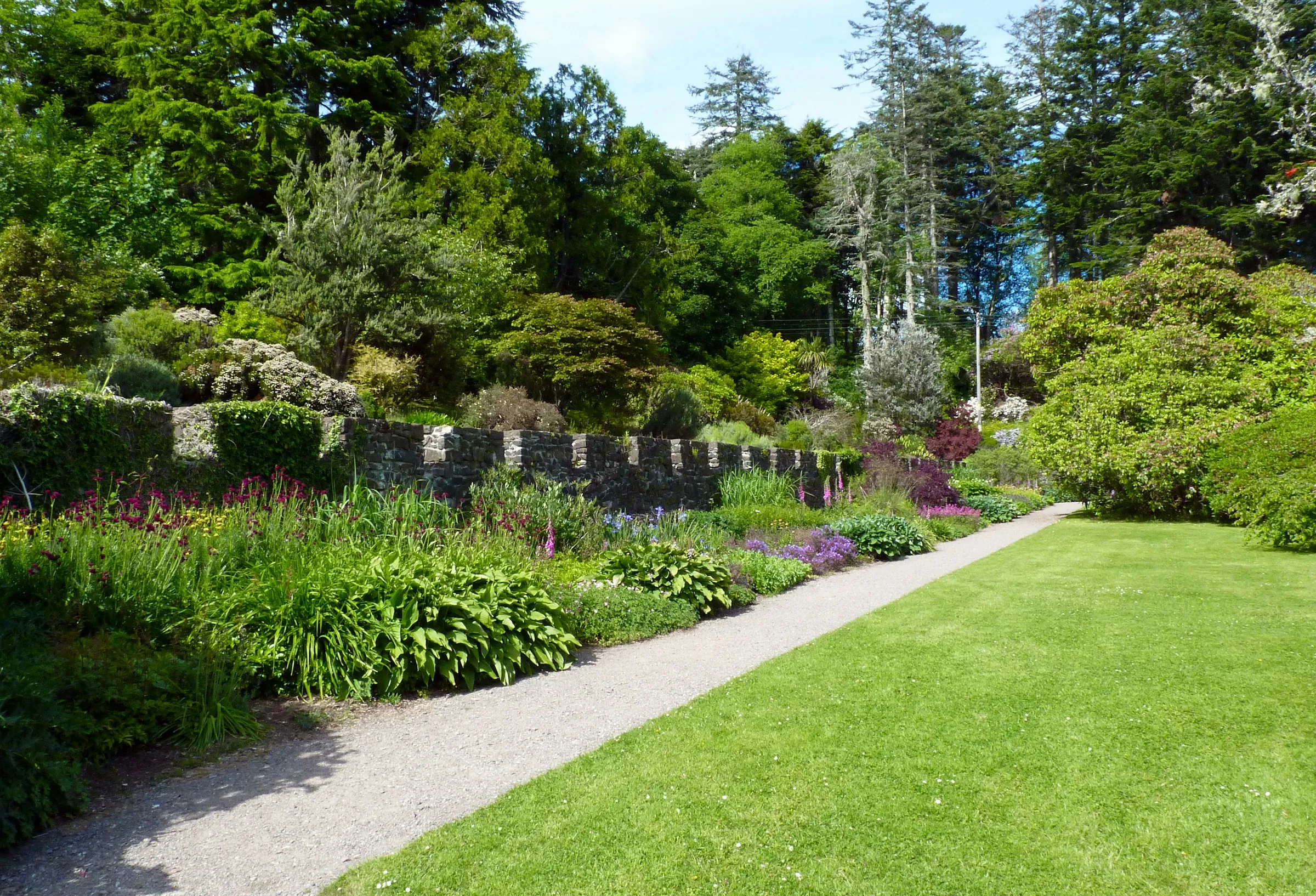 A landscaped garden with a lawn and a stone path